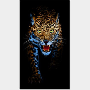 Leopard stalking Posters and Art